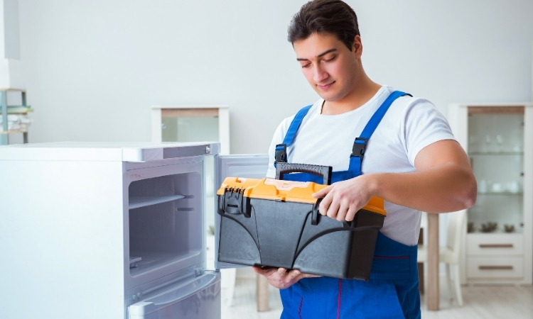 Adana Derin Dondurucu Servisi